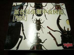 ユージン 株主優待品 原色昆虫類甲虫図鑑 限定 オオクワガタ入り 生物　動物　フィギュア