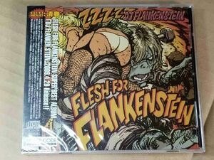 FLESH FOR FLANKENSTEIN DJ FLANKEN STEIN 未開封CD 清春 ALUCARD F.F. アルカード e795