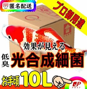 【錦鯉プロ専用】低臭タイプ光合成細菌PSB１０L入★水質改善・浄化（バクテリア）超活性★純粋単独培養種菌（検索用20L18Ｌ）