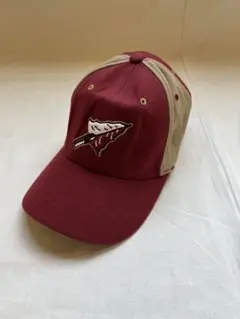 古着 ベースボールキャップ FSU フロリダ州立大 ストリート NCAA