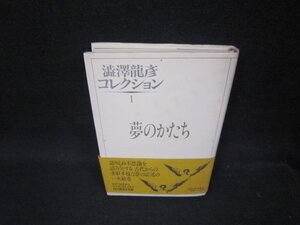 夢のかたち　澁澤龍彦コレクション1/OAZN