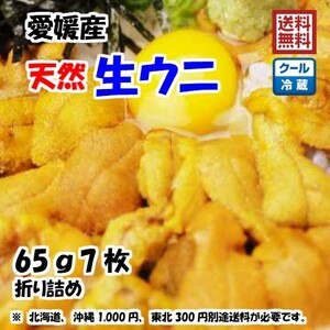 生ウニ 板ウニ 60g7枚 愛媛 天然 紫ウニ 赤ウニ 素潜り海士 送料無料 北海道/沖縄/東北は別途送料 浜から直送 宇和海の幸問屋 愛媛百貨店