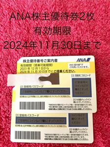 送料無料＊ANA 株主優待券 2枚　全日空 