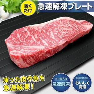 解凍プレート 急速解凍 放熱 解凍板 肉 魚 刺身 冷凍食品 時短 調理器具 粗熱 食品解凍 送料無料 3M◇ 急速解凍プレートHAC