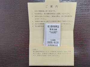 ◆東武鉄道◆株主優待乗車証(乗車券)10枚◆有効期限2025年6月30日◆送料無料◆