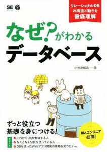 なぜ？がわかるデータベース リレーショナルDBの構造と動きを徹底図解/小笠原種高(著者)