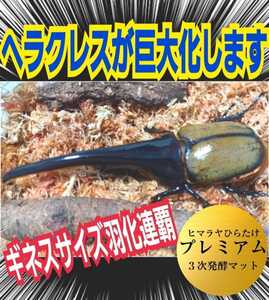 ヘラクレス180ミリ羽化実績！進化した！プレミアム3次発酵マット【4袋】トレハロース、ローヤルゼリー、キトサン強化配合☆産卵にも抜群！