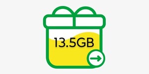 mineo　13.5GB（6750MB×2）　パケットギフト　マイネオ