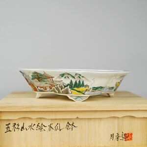 月香 箱付 五彩 山水画 木瓜鉢 観賞用 盆栽鉢 現品 新品