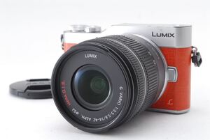 美品★パナソニック LUMIX-GF9★Wi-Fi&自撮り★小型軽量ミラーレス！