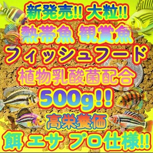 新販売!! 大粒 餌 500g!!たっぷりお徳用 高栄養価フード プロ仕様! ショップ ブリーダー 熱帯魚 観賞魚 プレコ ディスカス シクリッド飼料2