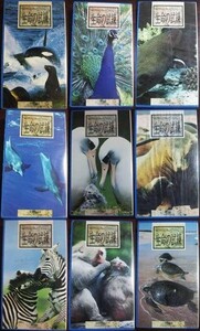 【VHS】 Trials of Life 生命の試練 9本セット