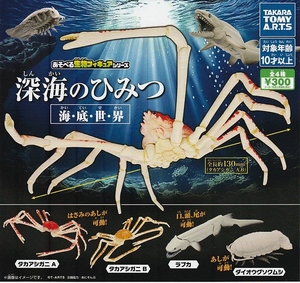 深海のひみつ　海・底・世・界　全4種セット　あそべる生物フィギュアシリーズ