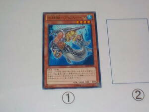 遊戯王　8期　ABYR　水精鱗-アビスパイク　レア　中古です。　