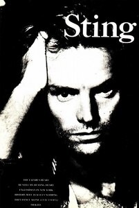 ■ STING スティング・SUN／POST CARD ポストカード Printed in THE E.E.C ■送料￥110～(全国一律・離島含む)