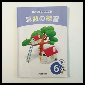 算数の練習 6年下 大日本図書★送料185円 6年生 六年生 問題集 小学生 小学校