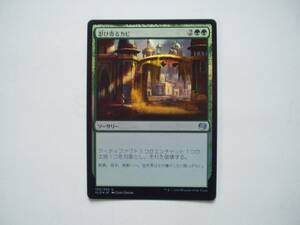 バイン　MTG 忍び寄るカビ/Creeping Mold foil 日本語1枚