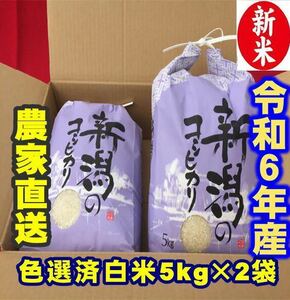 新米　令和6年産　新潟コシヒカリ　白米5kg×2個★農家直送★色彩選別済22