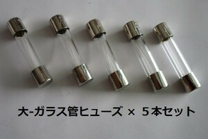 △△ ガラス管20A/ヒューズ ( 大 ) ×5本セット【未使用/目視チェック済み】交換用電子部品