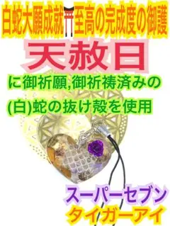 全運気を好転✨全チャクラ✨ハート✨蛇の抜け殻✨白蛇のお守り【天赦日ご祈祷済み】A