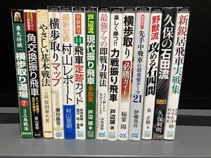 将棋関連本　14冊まとめ売り