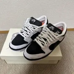 TIGHTBOOTH * Nike SB Dunk Low Pro QS