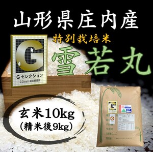 ◇Gセレクション♪雪若丸♪新米！令和６年産！山形庄内産玄米１０kg（白米９kg）送料無料