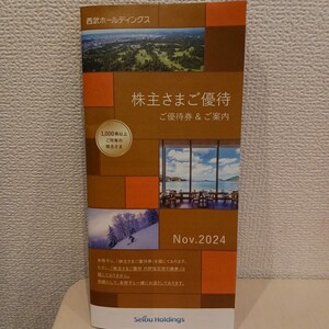 1円～　西武ホールディングス　 株主優待　案内