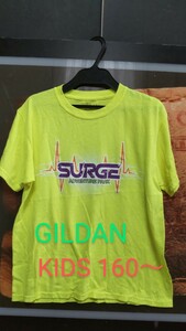 GILDAN Surge Adventure Park Tシャツ