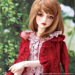 新品　SDGr 女の子 Sophie フルセット　PINK HOUSE ソフィー ピンクハウス　白肌　ホワイト肌　ドール ボークス　volks 即納