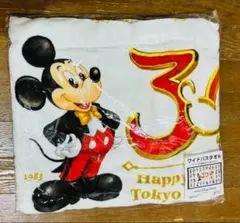 ディズニーランド 30周年 ワイドバスタオル