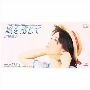 風を感じて / 沢田聖子 (CD-R) VODL-38740-LOD