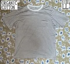 ★美品★ ORGANIC COTTON Tシャツ　カットソー　LL　ボーダー