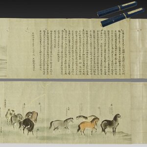 【模写】喜聞◆『百馬図巻 (上巻57図・下巻38図)』　2巻 古筆 古文書 古書 日本画 動物画巻 絵巻物 江戸絵画 中国絵画 茶道 江戸中期～後期