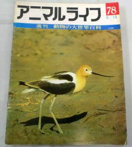 古書◆雑誌◆S47年 週刊アニマルライフ第７８号 ◆ ソリハシセイタカシギ★センチュウ★センニュウ★ゾウアザラシ★ソコダラ★