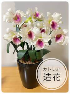 大きめカトレア 造花 花8個　黒い