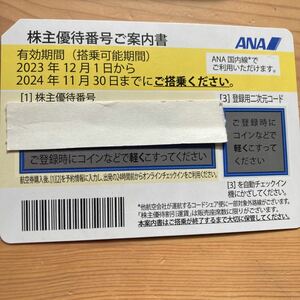 ANA株主優待券 ２枚セット（番号お知らせの場合送料無料）2024年11月末搭乗まで有効