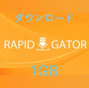 Rapidgator Katfile等 1GB分 ダウンロード premium限定ファイル対応