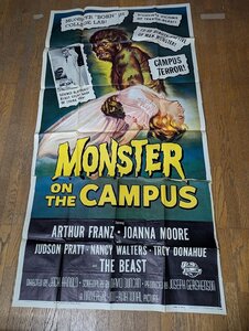 長E259/US版3シート 映画ポスター/【Monster on the Campus】監督 ジャック・アーノルド/ORG/58/438/1円～