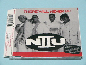 CDS / N II U / THERE WILL NEVER BE // remix I Miss You