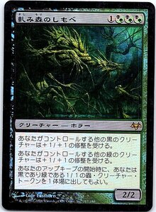 FOIL/軋み森のしもべ/Creakwood Liege/イーブンタイド/日本語版/MTG１枚 [FC]