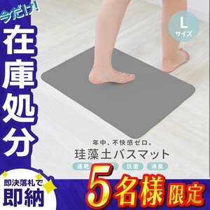 【在庫処分セール】訳あり 珪藻土バスマット Lサイズ 60×39cm アスベスト検査済 安全 速乾 防カビ 消臭 抗菌 サラサラ お風呂 マット