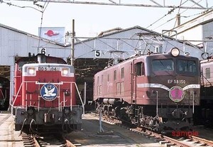 【鉄道写真】DD51 1043『はと』＆EF58 150『さくら』 [0008252]