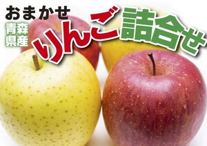 否バラ詰め わけあり【B級品 きおう・未希ライフ 割合おまかせ 詰合せ 20kg(20キロ) 用 木箱 サイズ ダンボール 詰】青森県産 mix