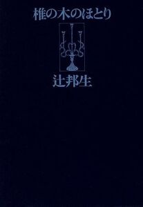 椎の木のほとり ある生涯の七つの場所7/辻邦生【著】