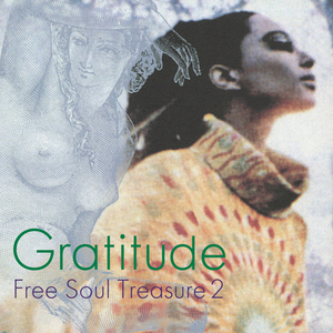 V.A. / GRATITUDE ~ SUBURBIA meets ULTRA-VYBE FREE SOUL TREASURE 2 (LP)