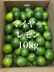 【熊本県産】国産 マイヤーレモン 10kg