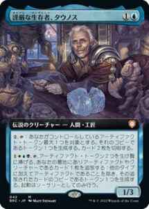 MTG　謹厳な生存者、タウノス　拡張アート　在庫日2枚まで　兄弟戦争統率者デッキ　BRC　★他多数出品中