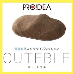 ※1円スタート 【極美品】ドリーム プロイデア 骨盤底筋 エクササイズ クッション キュットブル ブラウン