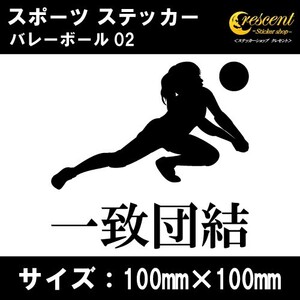 バレーボール ステッカー スポーツ 02 全26色 スローガン 部活 応援 クラブ チーム シール 車 バイク 傷隠し